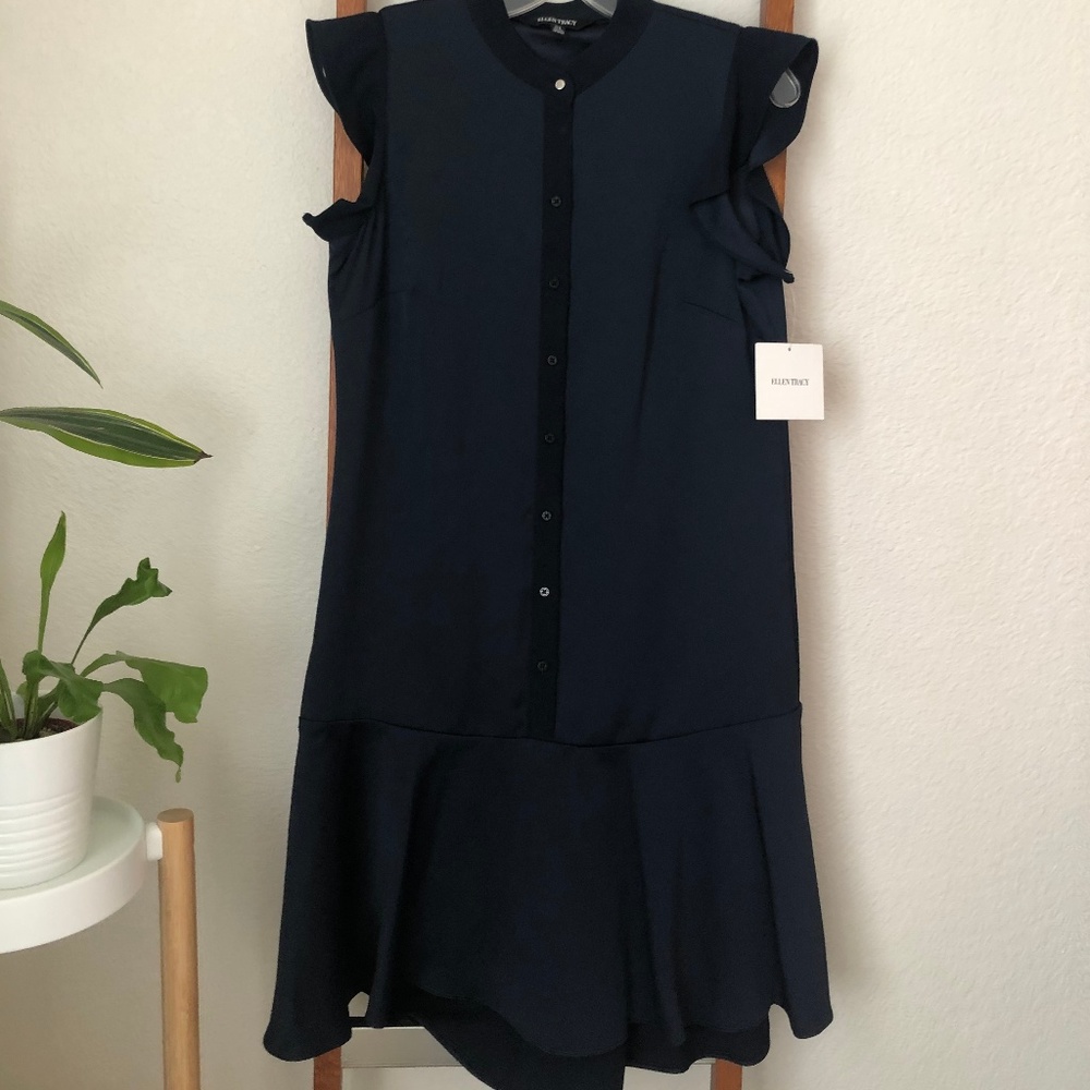Ellen Tracy Drop Waist Dress NWT